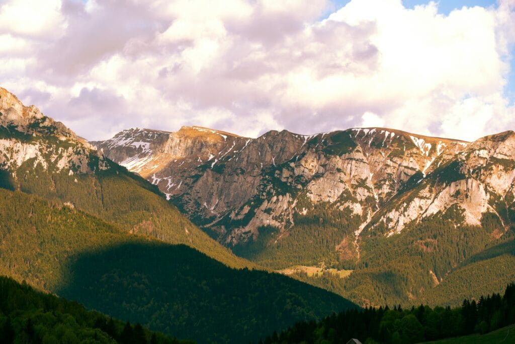 Bușteni