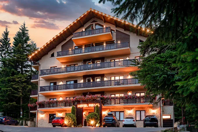 cazare pet-friendly – imagine contextuală 2