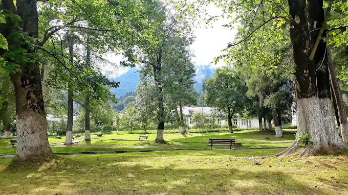 Parcul Central din Bușteni, imagine de localitate pentru Festivalul Mugurel de Cântec Românesc