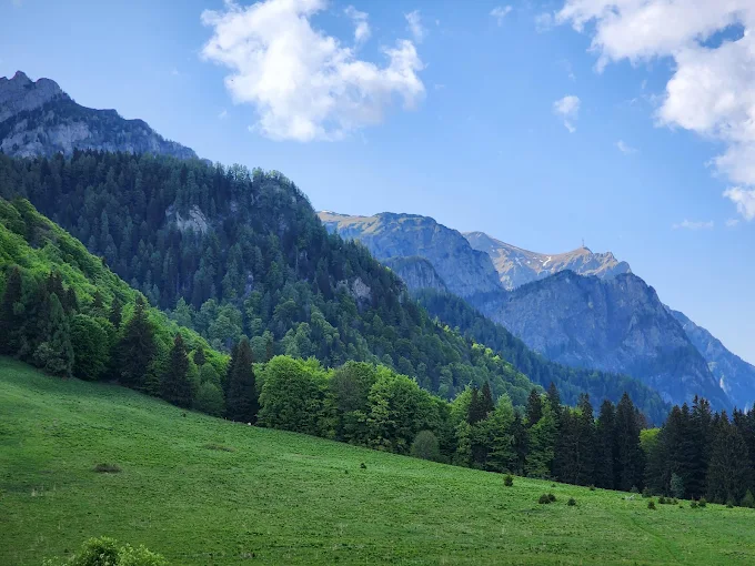 Peisaj natural din zona Poiana Țapului