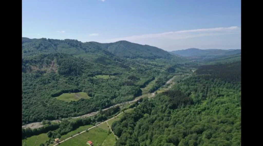 Pădure în Rezervația Naturală Glodeasa