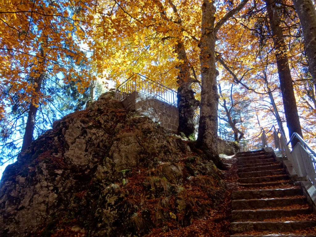 Poteca spre Stâncile Franz Josef în zona Poiana Stânii Regale