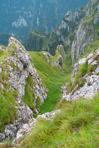 Poteci montane primavara