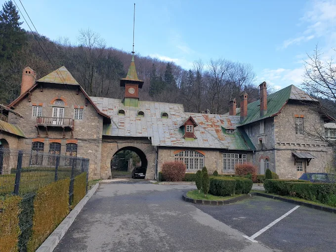Castelul din Posada și zona înconjurătoare