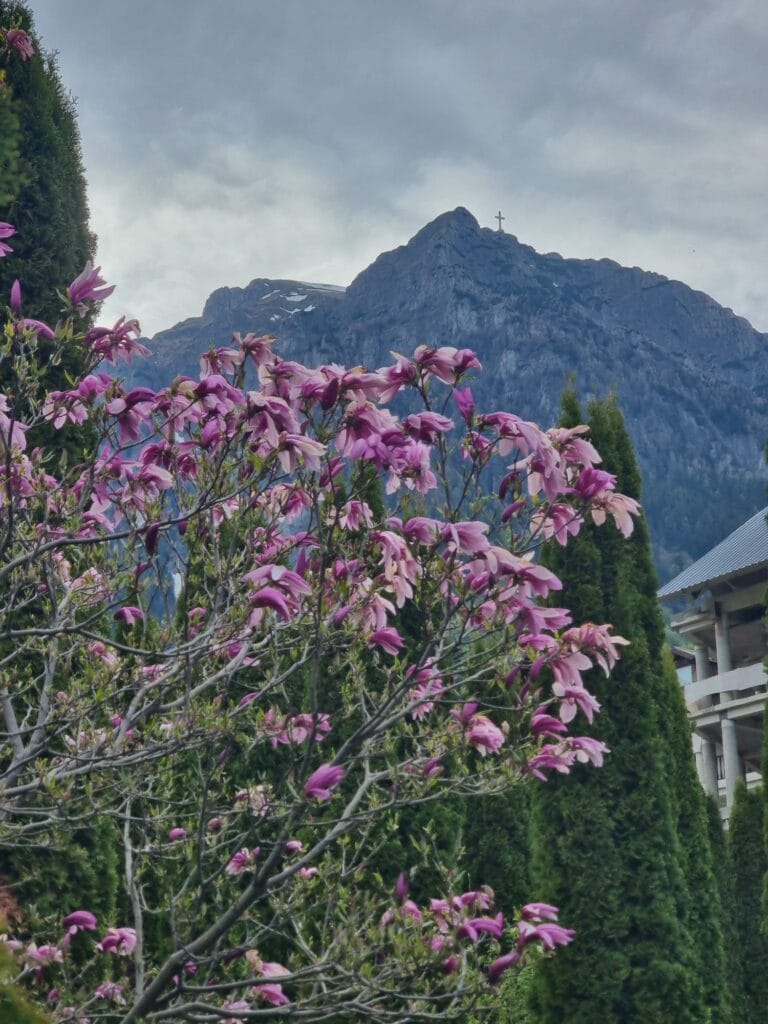 Crucea Caraiman văzută din zona Mănăstirii Caraiman
