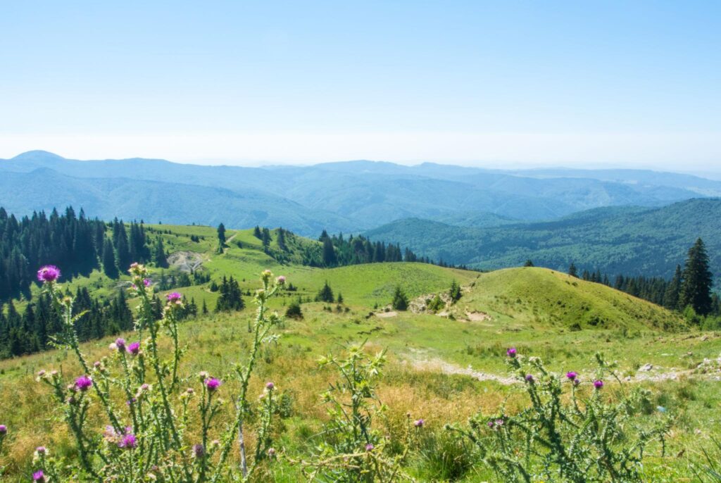 Primavara pe Valea Prahovei – peisaj cu munti si paduri inflorite