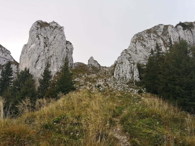 Narrow limestone chimney and metal ladder in Seven Ladders Canyon