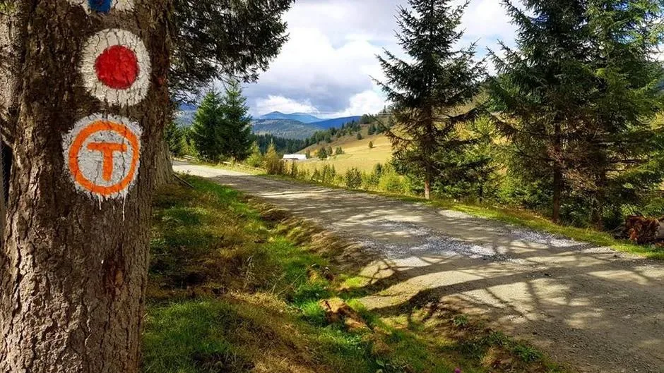 Peisaj din Breaza și dealurile din jur în sezonul rece