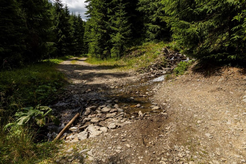 Trasee montane în Breaza peisaj natură