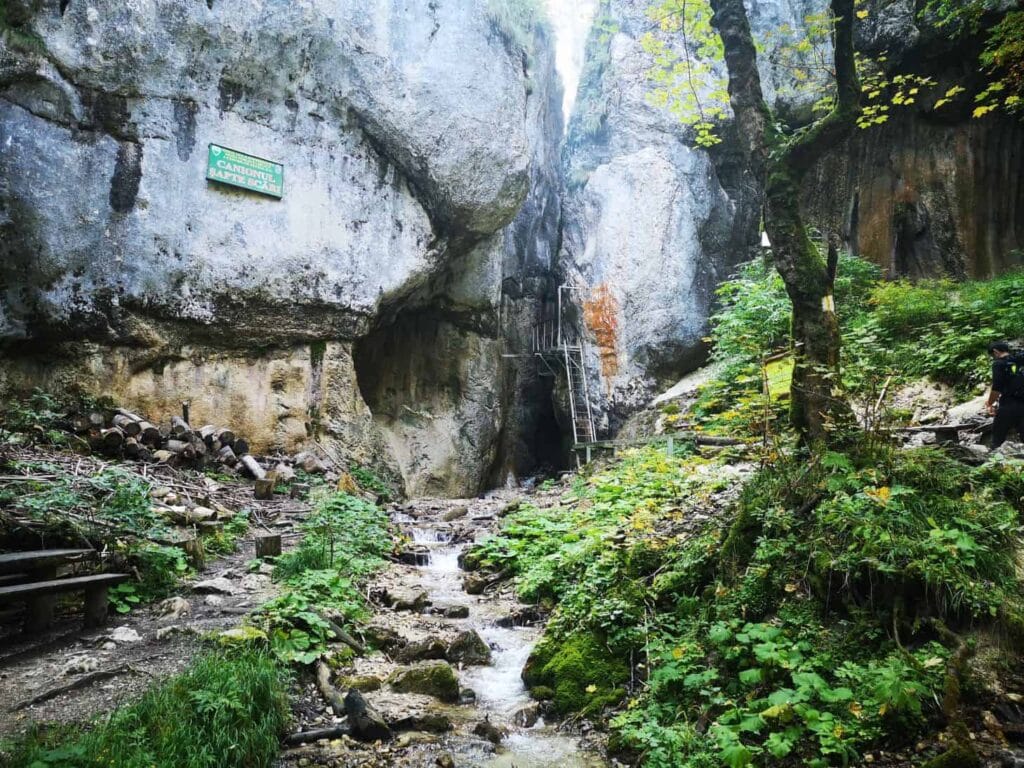 Entrance to Seven Ladders Canyon and the managed ladder section