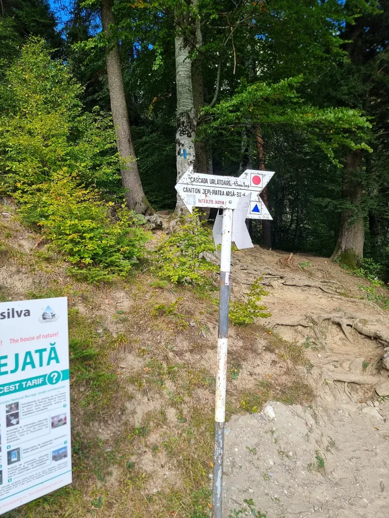 Indicator cu marcaj punct roșu spre Cascada Urlătoarea din Bușteni