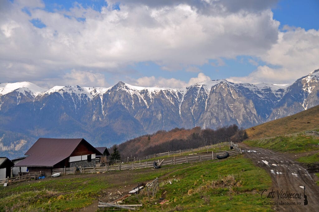 Munții Baiului toamna, peisaj arămiu