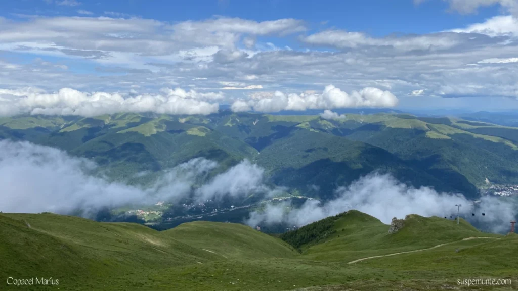 Ce poți face în Sinaia vara, vedere verde de la Cota 1400 spre Munții Bucegi