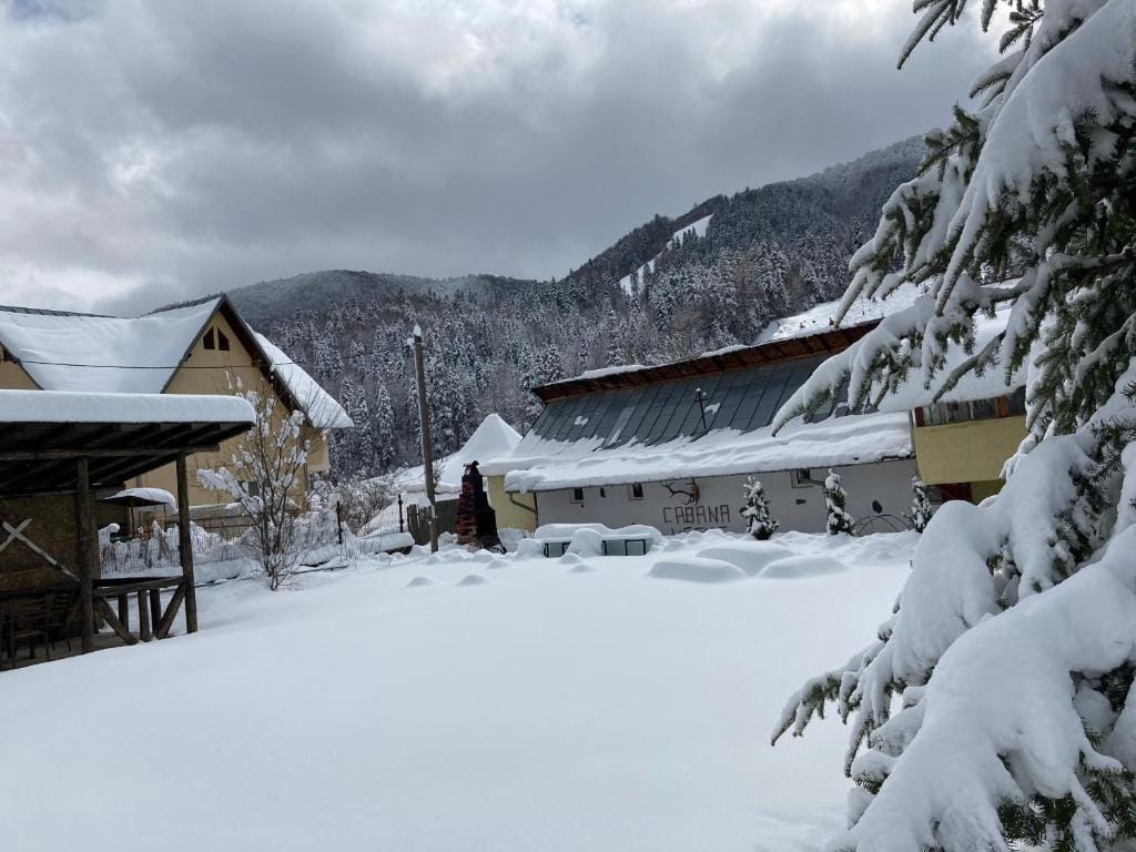 Chalet Azuga - cazare în Azuga