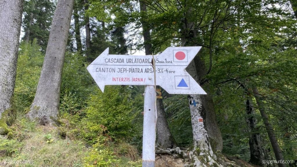 Potecă spre Cascada Urlătoarea, unul dintre traseele scurte din Bușteni
