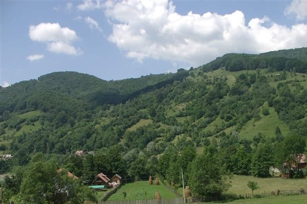 Valea Doftanei – peisaje sălbatice și Lacul Paltinu