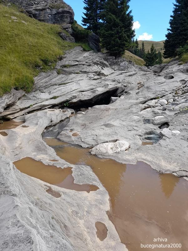 Valea Dorului văzută de pe Platoul Bucegi