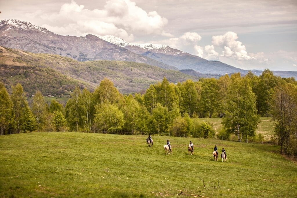 Plimbare călare prin natură pe Valea Prahovei vara