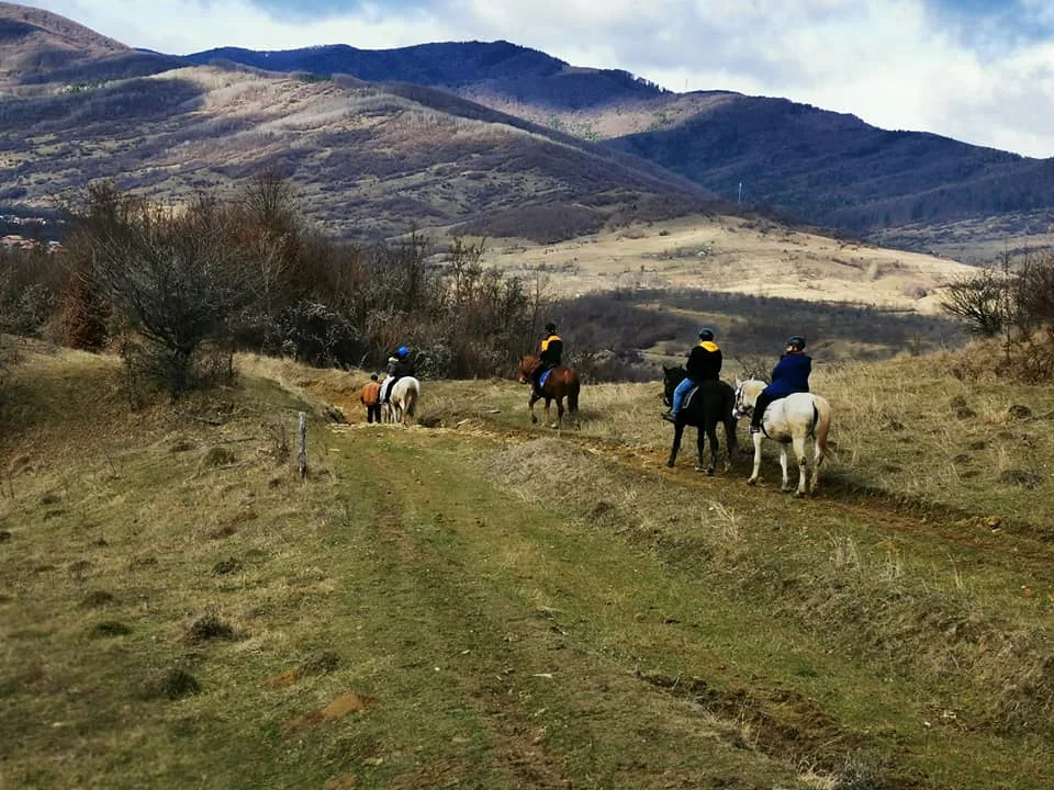 Centrul Ecvestru Husar Slănic Prahova, opțiune ecvestră regională