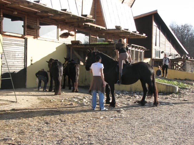 Clubul de Echitație Robin Hood, opțiune ecvestră în Prahova de verificat direct