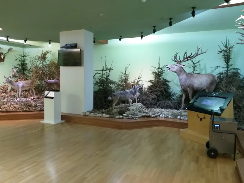 Muzeul Cinegetic Posada – activitate de interior în zona Comarnic–Posada