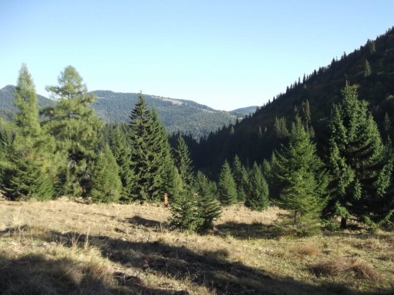 Poiana Costilei toamna, sub abrupturile Bucegilor