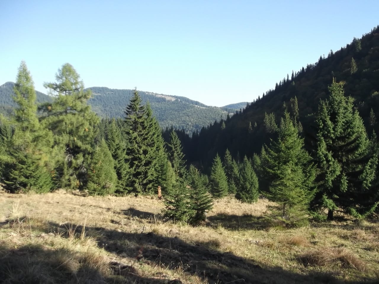 Poiana Coștilei in autumn on a trail from Bușteni