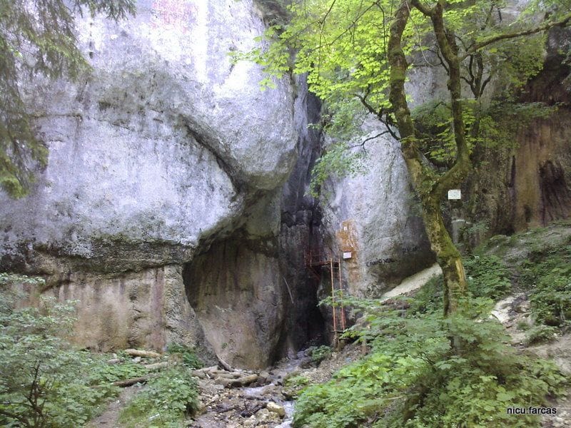 Seven Ladders Canyon in Romania, with limestone walls and metal ladders