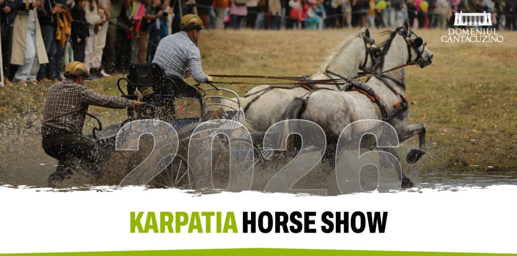 Cai și călăreți la Karpatia Horse Show
