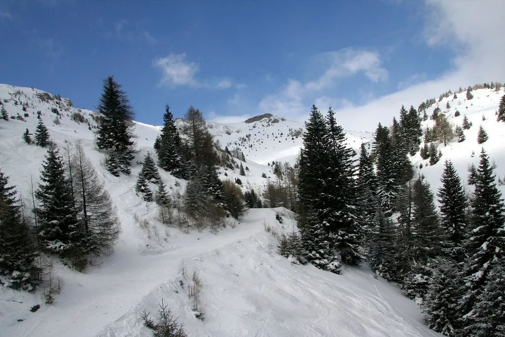 Pârtie de schi în stațiunea Sinaia iarna