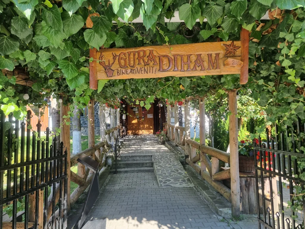 Poarta acoperită cu iederă de la Gura Diham